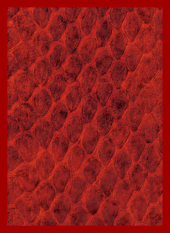 Dragon Hide Art Sleeves Red (50)