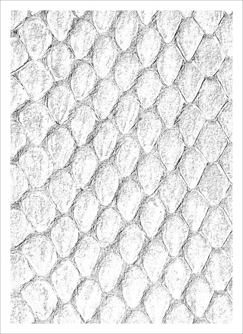 Dragon Hide Art Sleeves White (50)