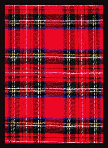 Tartan Art Sleeves (50)