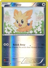 Lillipup - BW52 - Promotional