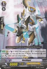 Rushgal - BT10/047EN - C