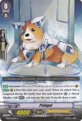 Primgal - BT10/050EN - C