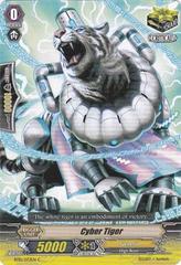 Cyber Tiger- BT10/072EN - C