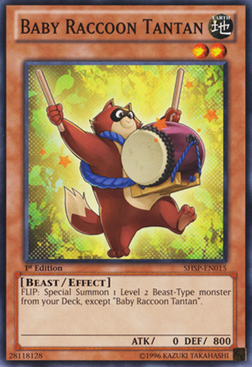 Baby Raccoon Tantan - SHSP-EN015 - Common - Unlimited Edition