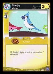 Blue Jay, Warbler - 81