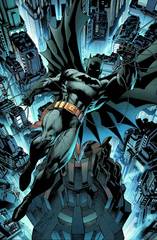 Absolute Batman & Robin The Boy Wonder Hc